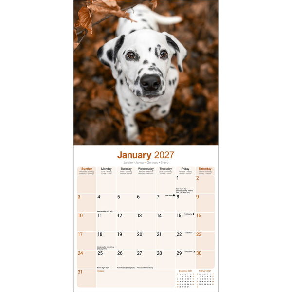 Dalmatian Calendar 2027
