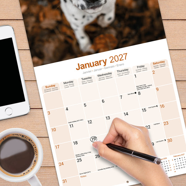 Dalmatian Calendar 2027