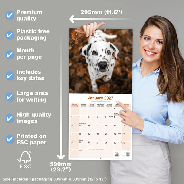 Dalmatian Calendar 2027