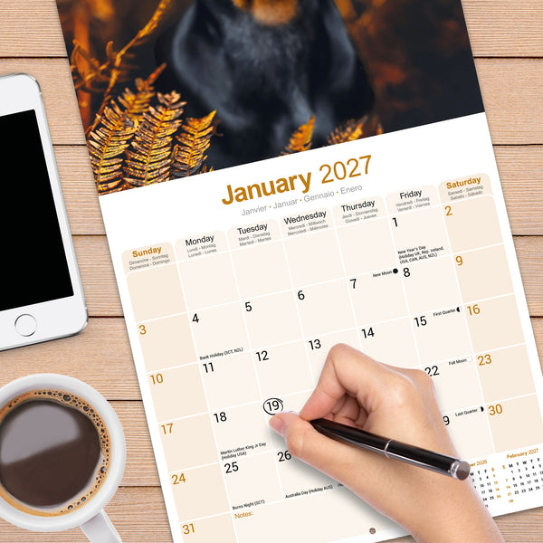 Dobermann Calendar 2027