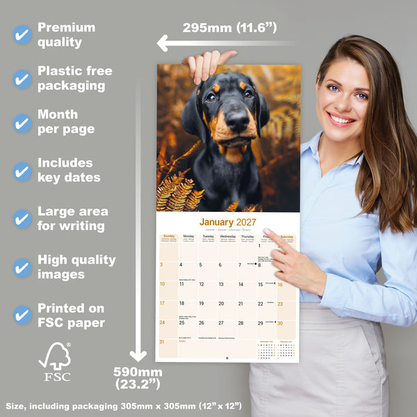 Dobermann Calendar 2027
