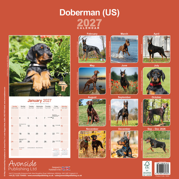 Doberman (US) Calendar 2027