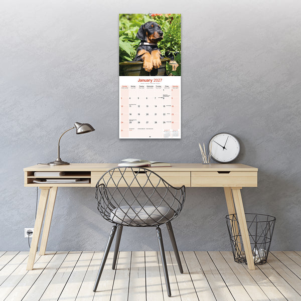 Doberman (US) Calendar 2027