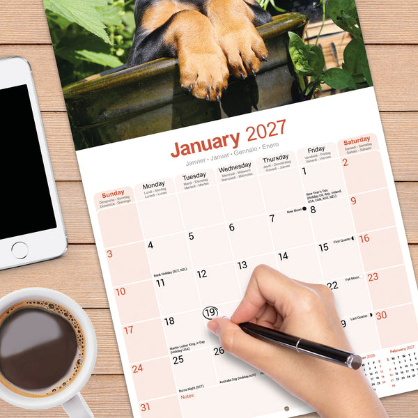 Doberman (US) Calendar 2027