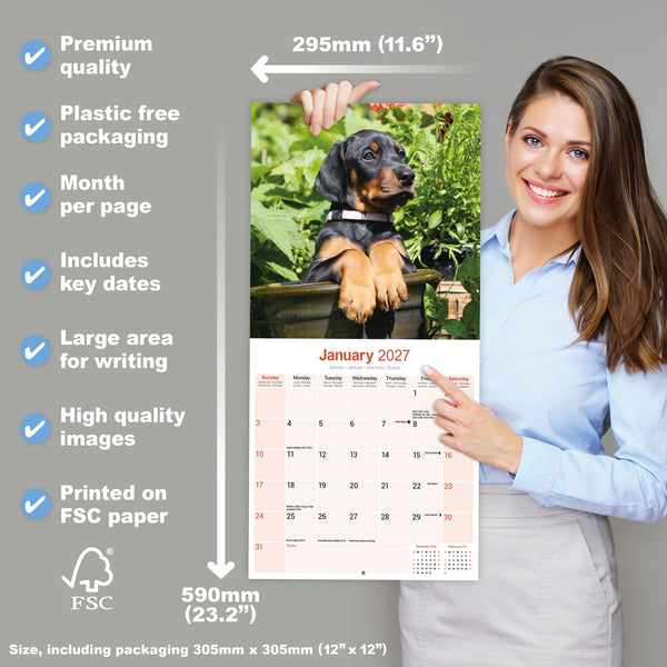 Doberman (US) Calendar 2027