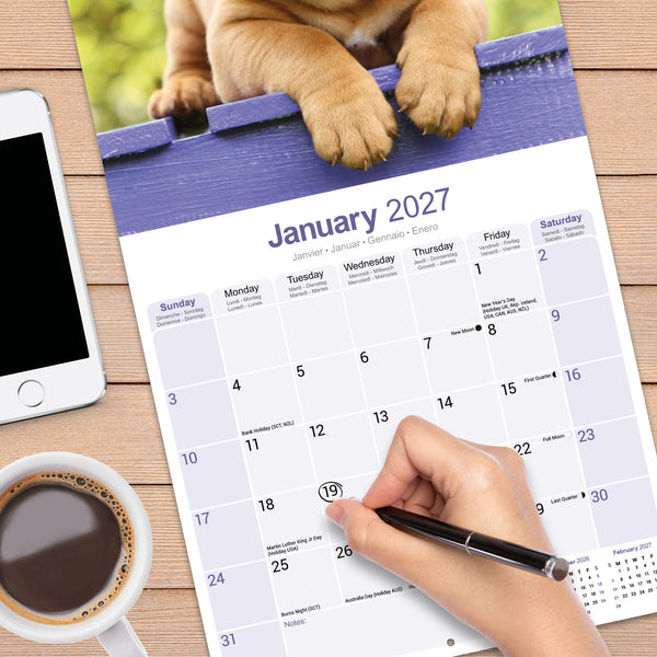 Dogue de Bordeaux Calendar 2027