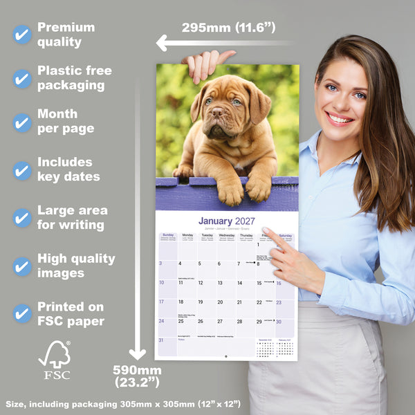 Dogue de Bordeaux Calendar 2027