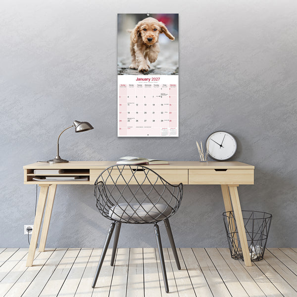 English Cocker Spaniel Calendar 2027