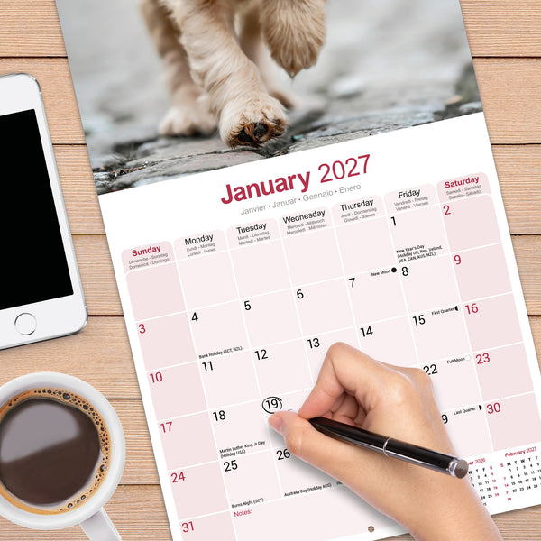 English Cocker Spaniel Calendar 2027