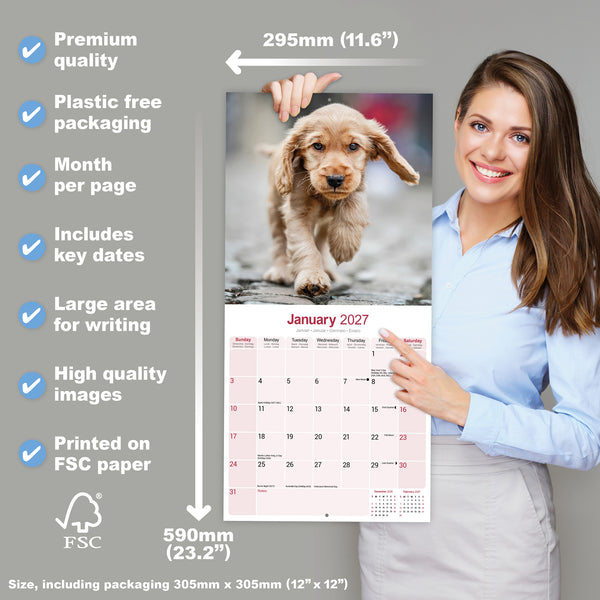 English Cocker Spaniel Calendar 2027