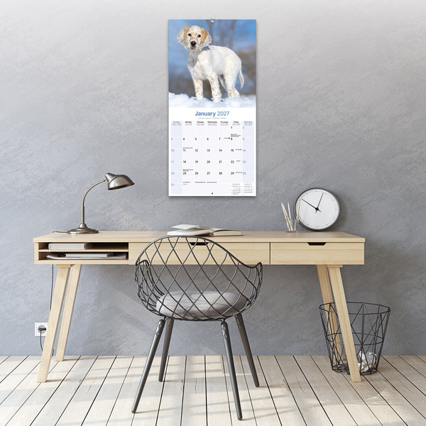 English Setter Calendar 2027