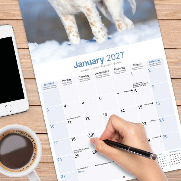 English Setter Calendar 2027