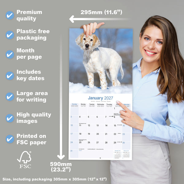 English Setter Calendar 2027