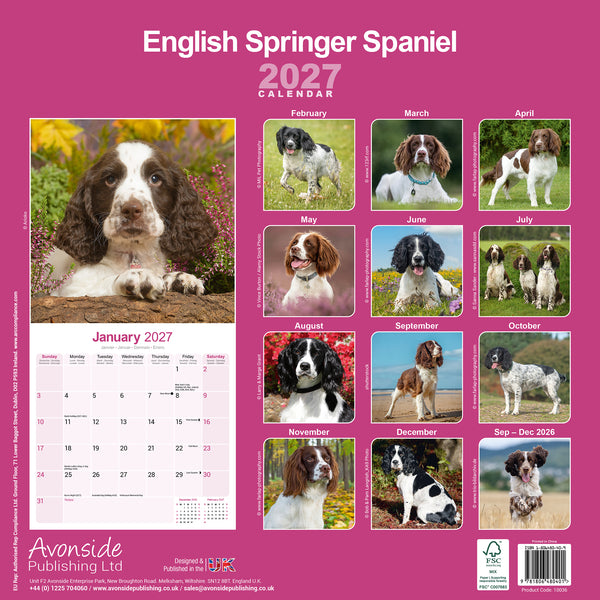 English Springer Spaniel Calendar 2027