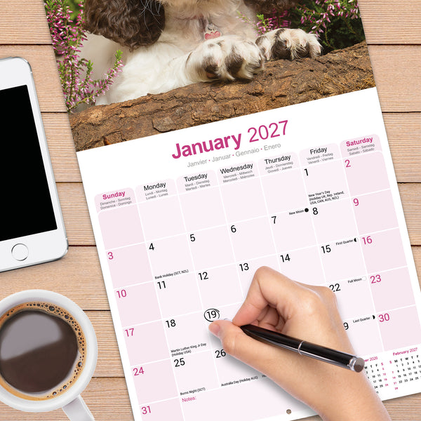 English Springer Spaniel Calendar 2027