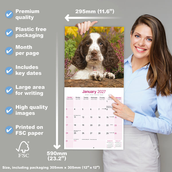 English Springer Spaniel Calendar 2027