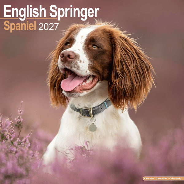 English Springer Spaniel Calendar 2027