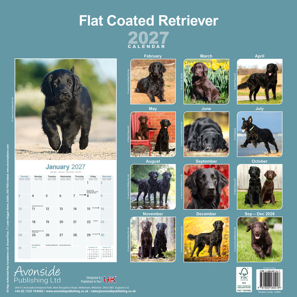 Flat Coated Retriever Calendar 2027