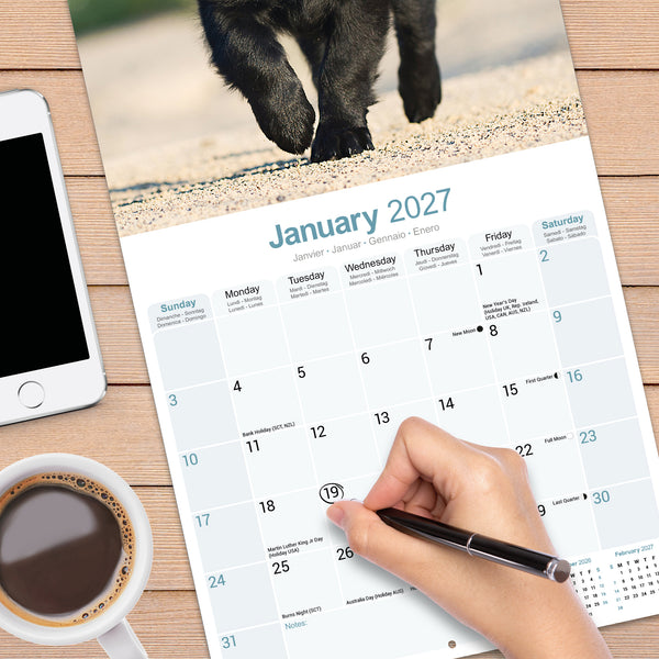 Flat Coated Retriever Calendar 2027