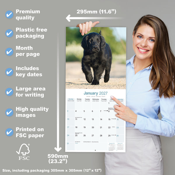 Flat Coated Retriever Calendar 2027