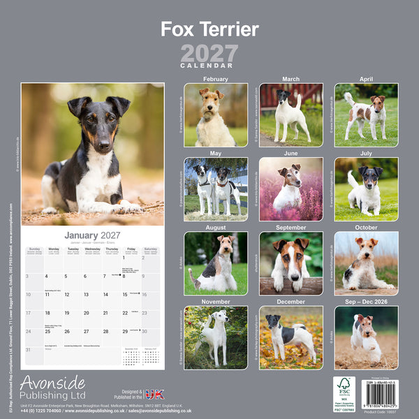 Fox Terrier Calendar 2027
