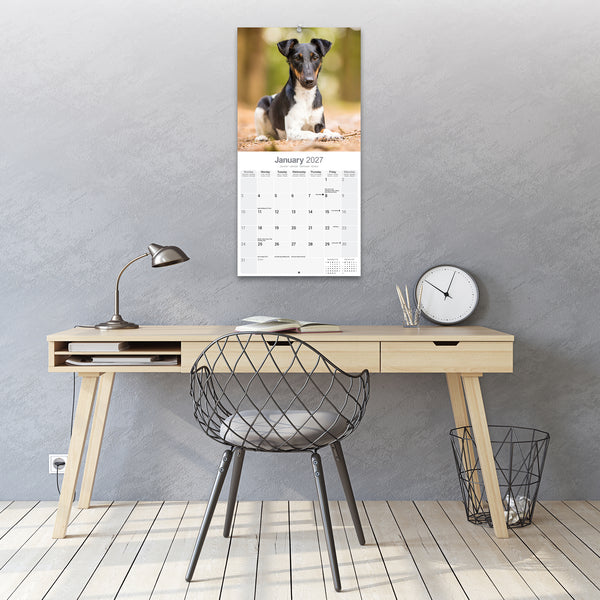 Fox Terrier Calendar 2027