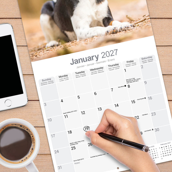 Fox Terrier Calendar 2027
