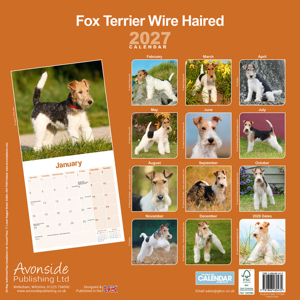 Fox Terrier Wirehaired Calendar 2027