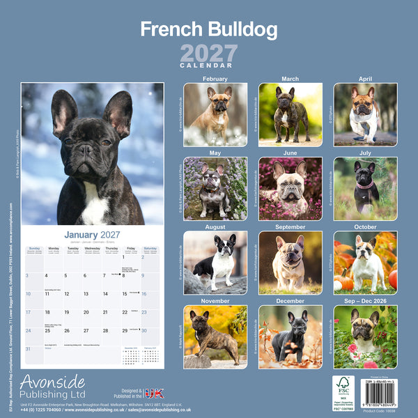 French Bulldog Calendar 2027