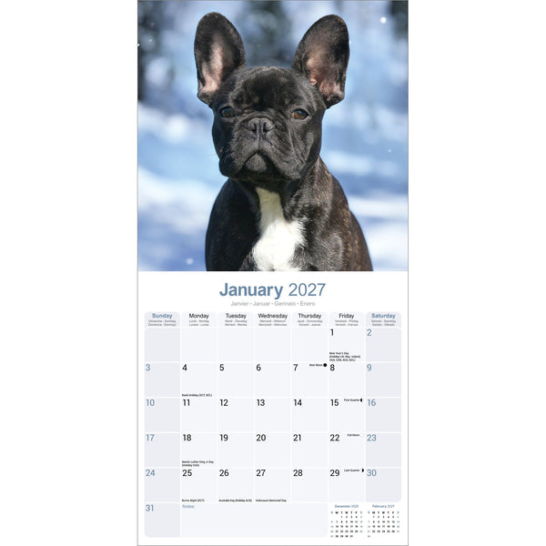 French Bulldog Calendar 2027