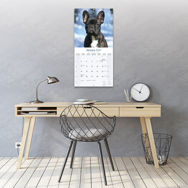 French Bulldog Calendar 2027
