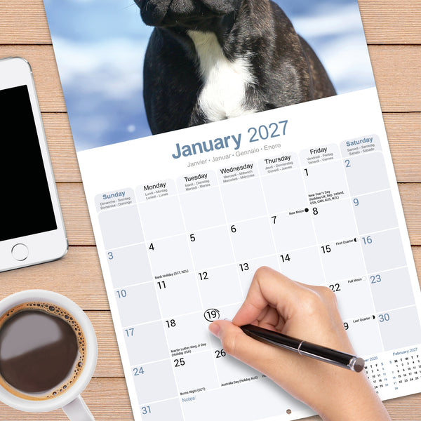 French Bulldog Calendar 2027