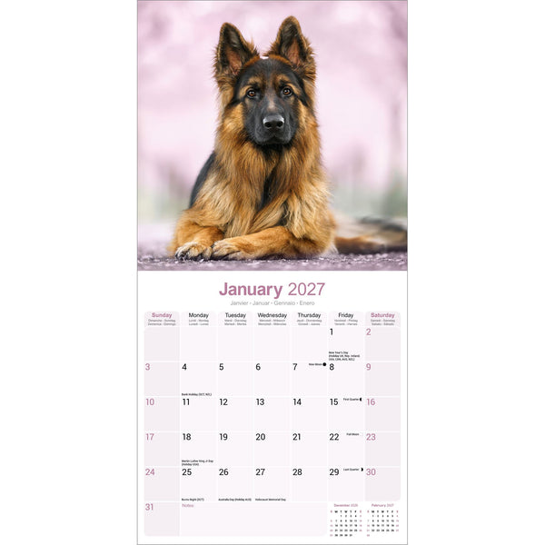 German Shepherd Calendar 2027