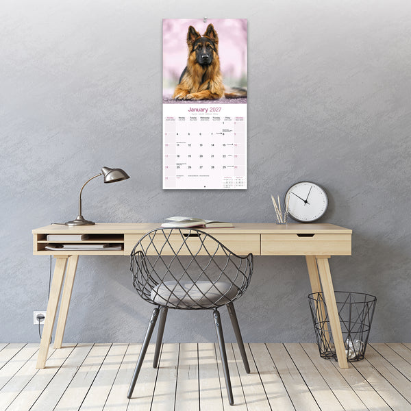 German Shepherd Calendar 2027