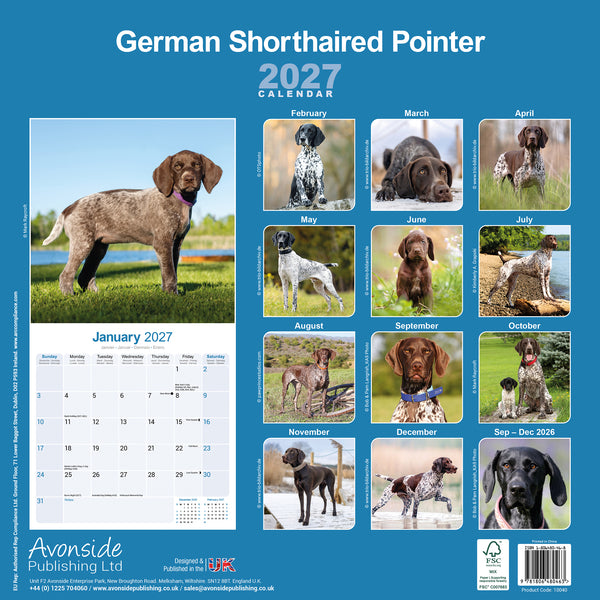 German Short Haired Pointer Calendar 2027