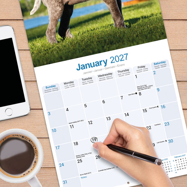 German Short Haired Pointer Calendar 2027