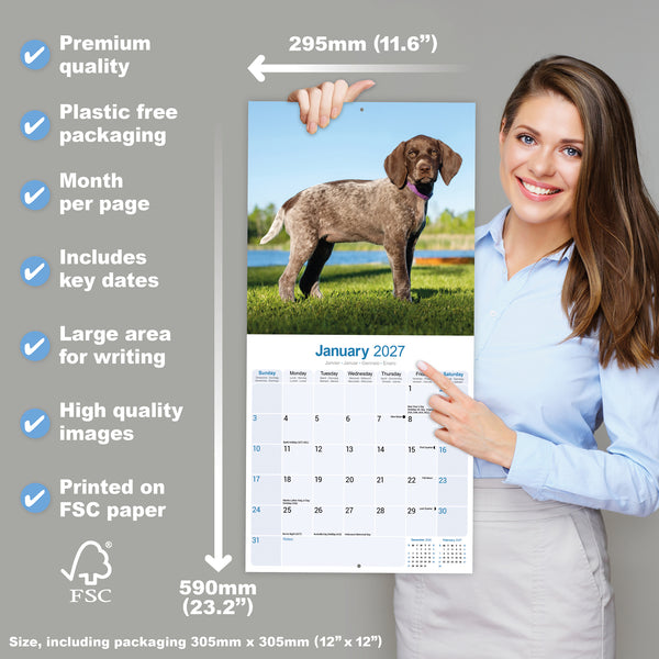 German Short Haired Pointer Calendar 2027