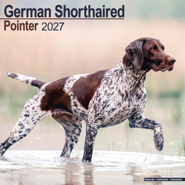 German Short Haired Pointer Calendar 2027