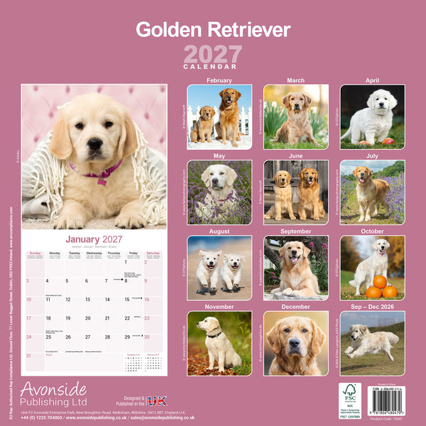 Golden Retriever Calendar 2027