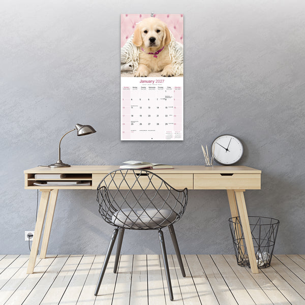 Golden Retriever Calendar 2027