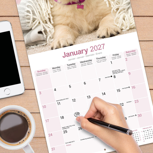 Golden Retriever Calendar 2027