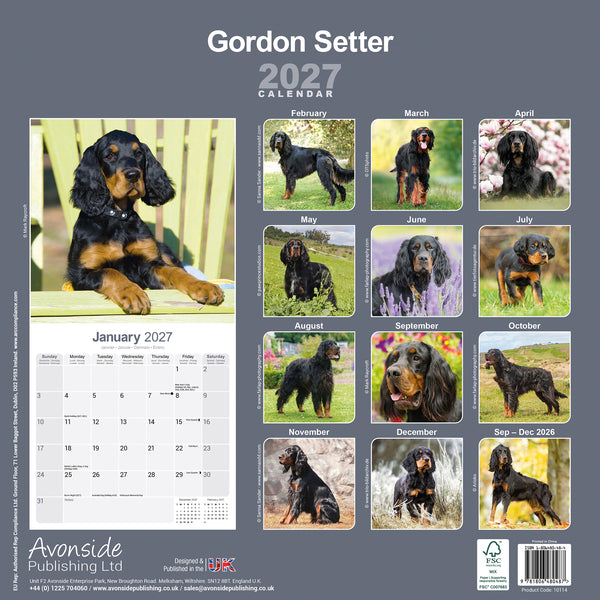 Gordon Setter Calendar 2027