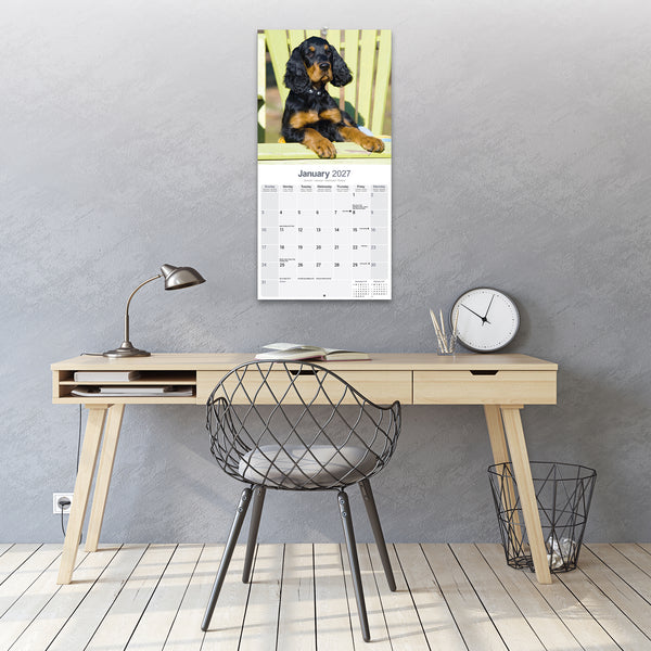 Gordon Setter Calendar 2027