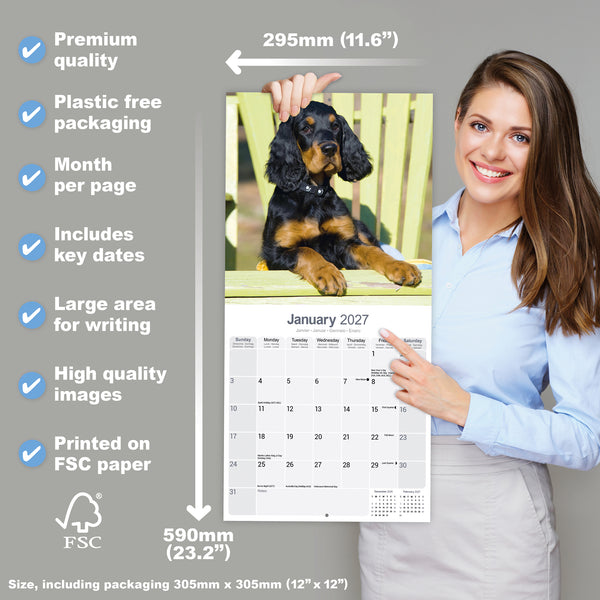 Gordon Setter Calendar 2027