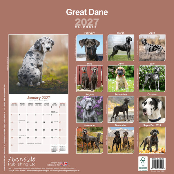 Great Dane Calendar 2027
