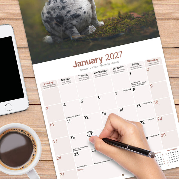 Great Dane Calendar 2027