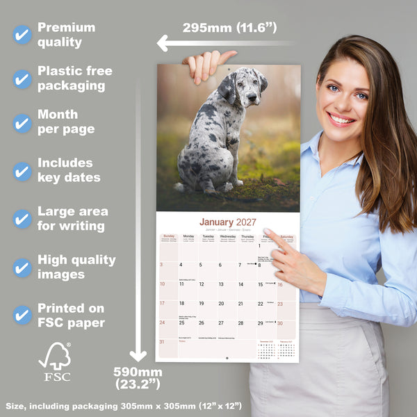 Great Dane Calendar 2027