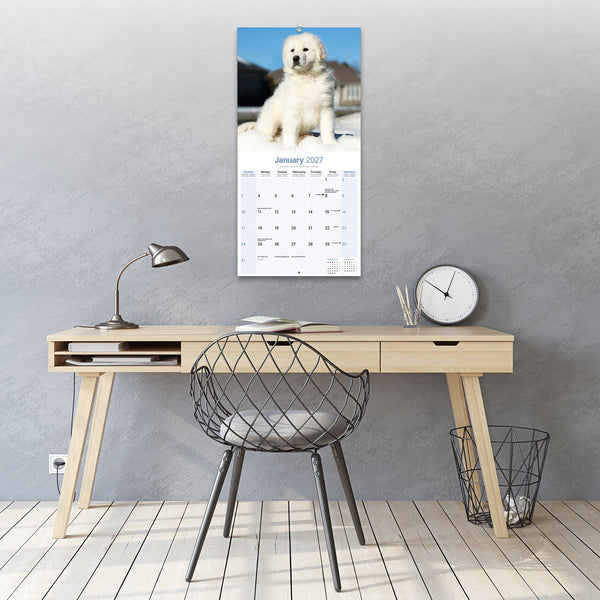 Great Pyrenees Calendar 2027