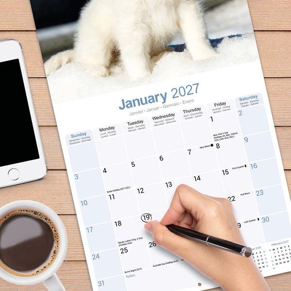 Great Pyrenees Calendar 2027