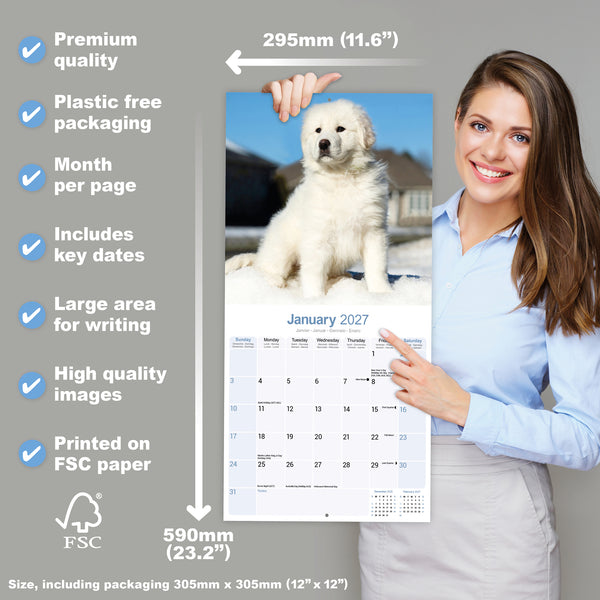 Great Pyrenees Calendar 2027